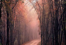 开云体育-维卡拉格路今夜沸腾！沃特福德补时绝杀书写热血童话