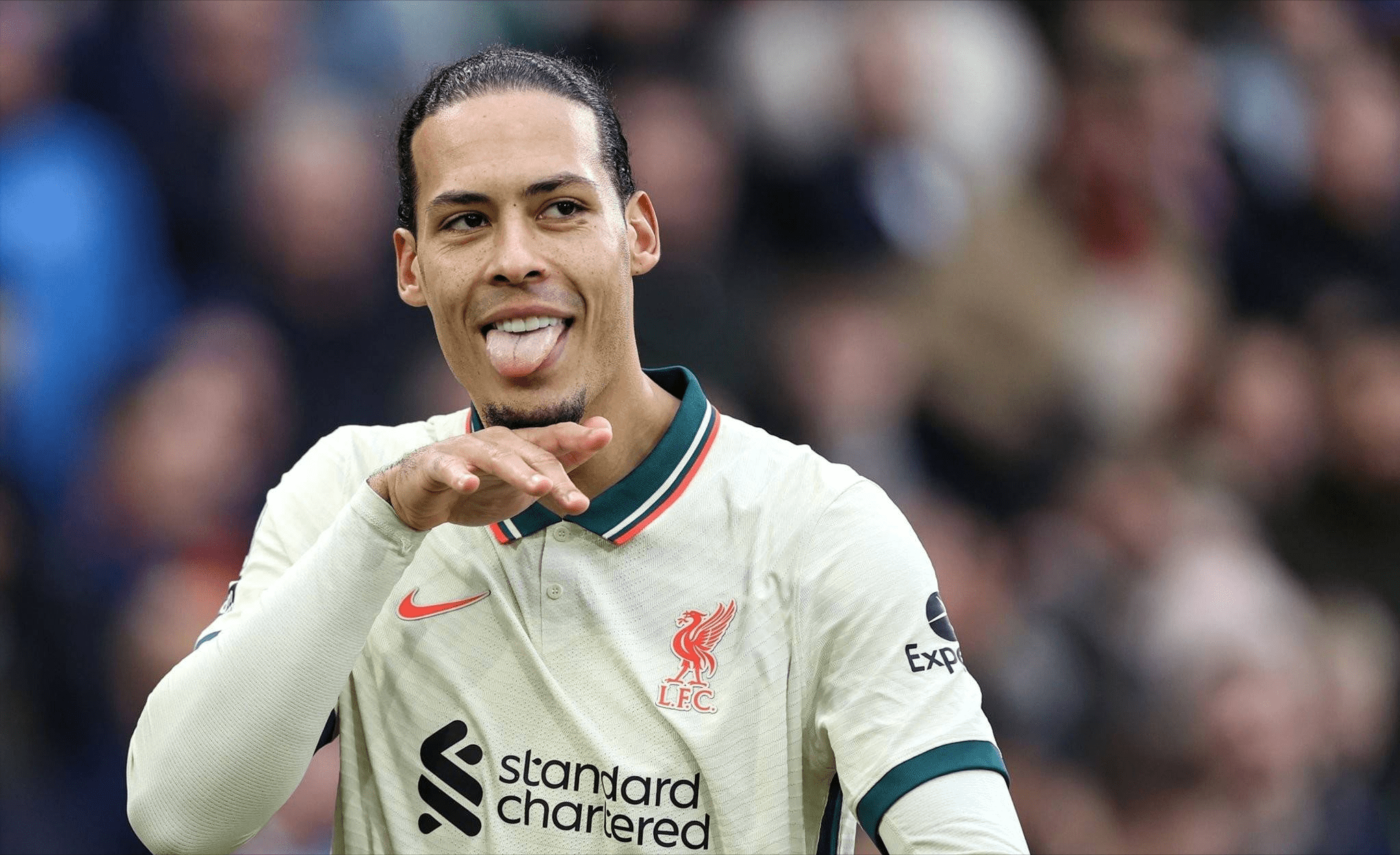 开云体育APP下载-荷兰女足不败战绩，赛场上风生水起