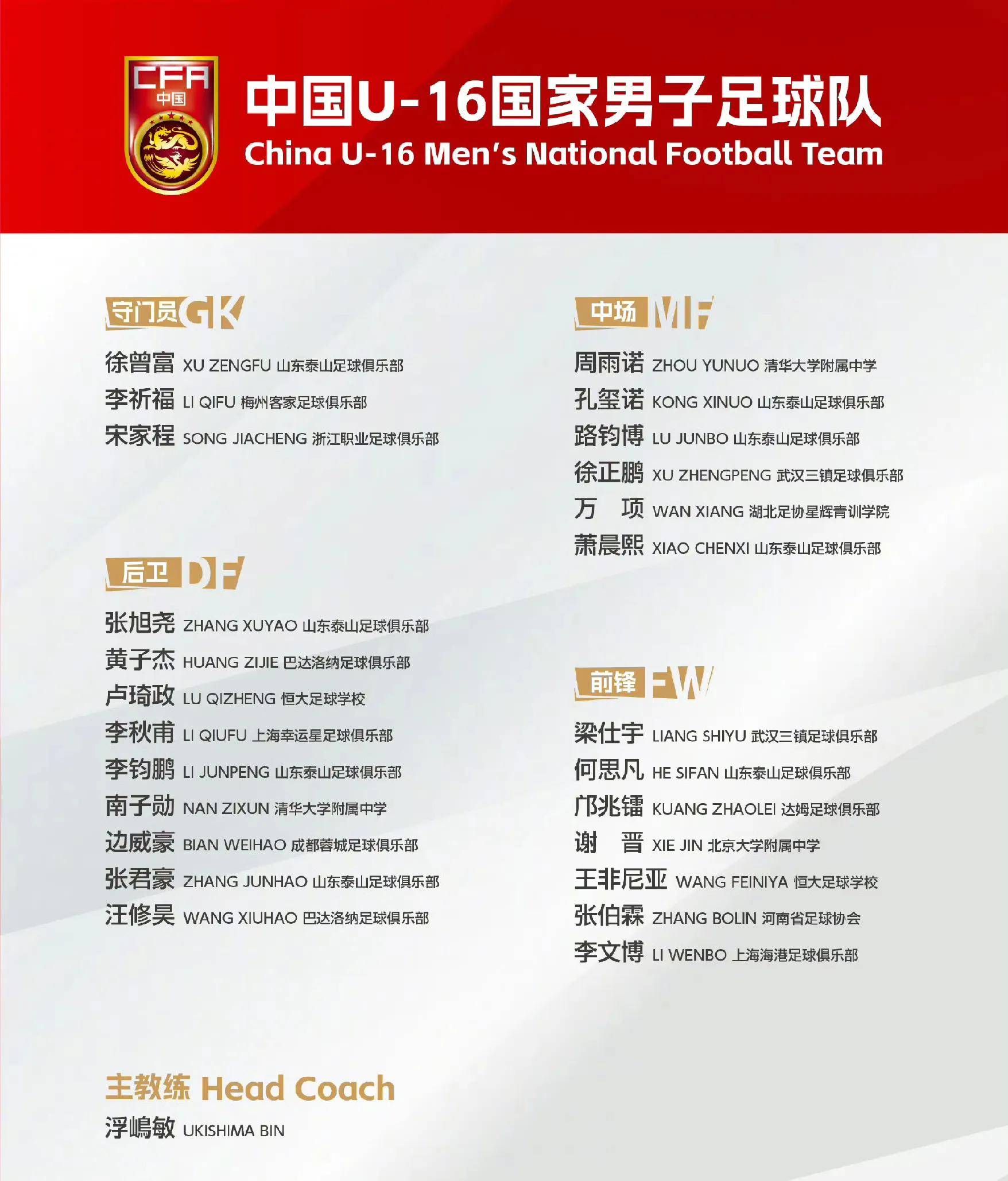 法国队在女足锦标赛中获得亚军的简单介绍