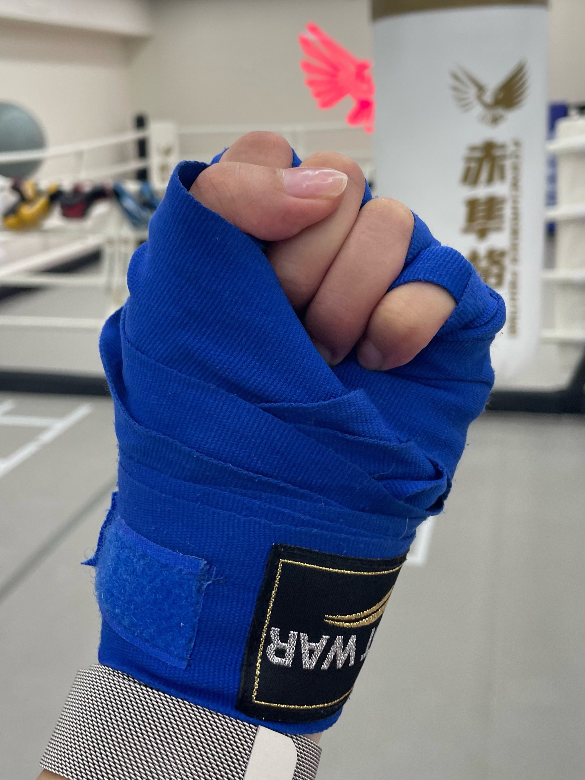 巴拿马拳击冠军拳路一致-实力击败对手的简单介绍