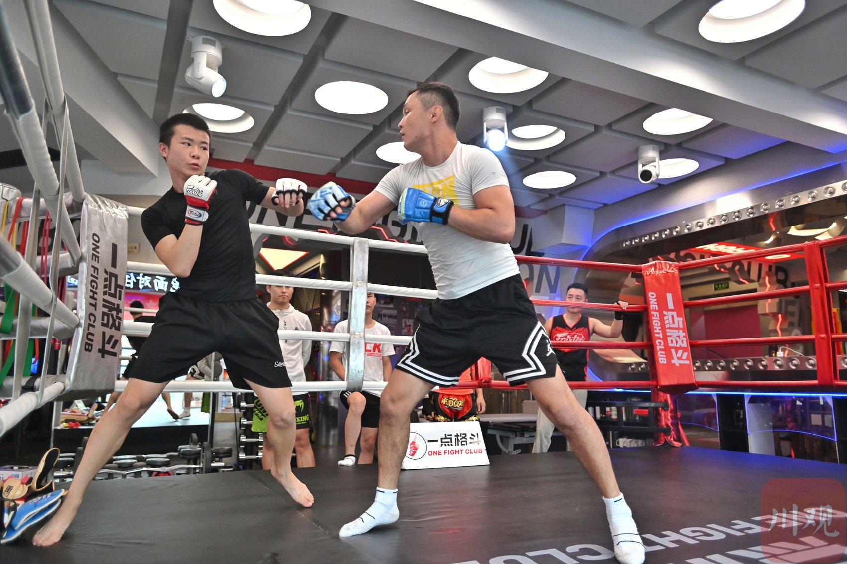 顶尖巅峰！全球体育赛事热情搏击的简单介绍